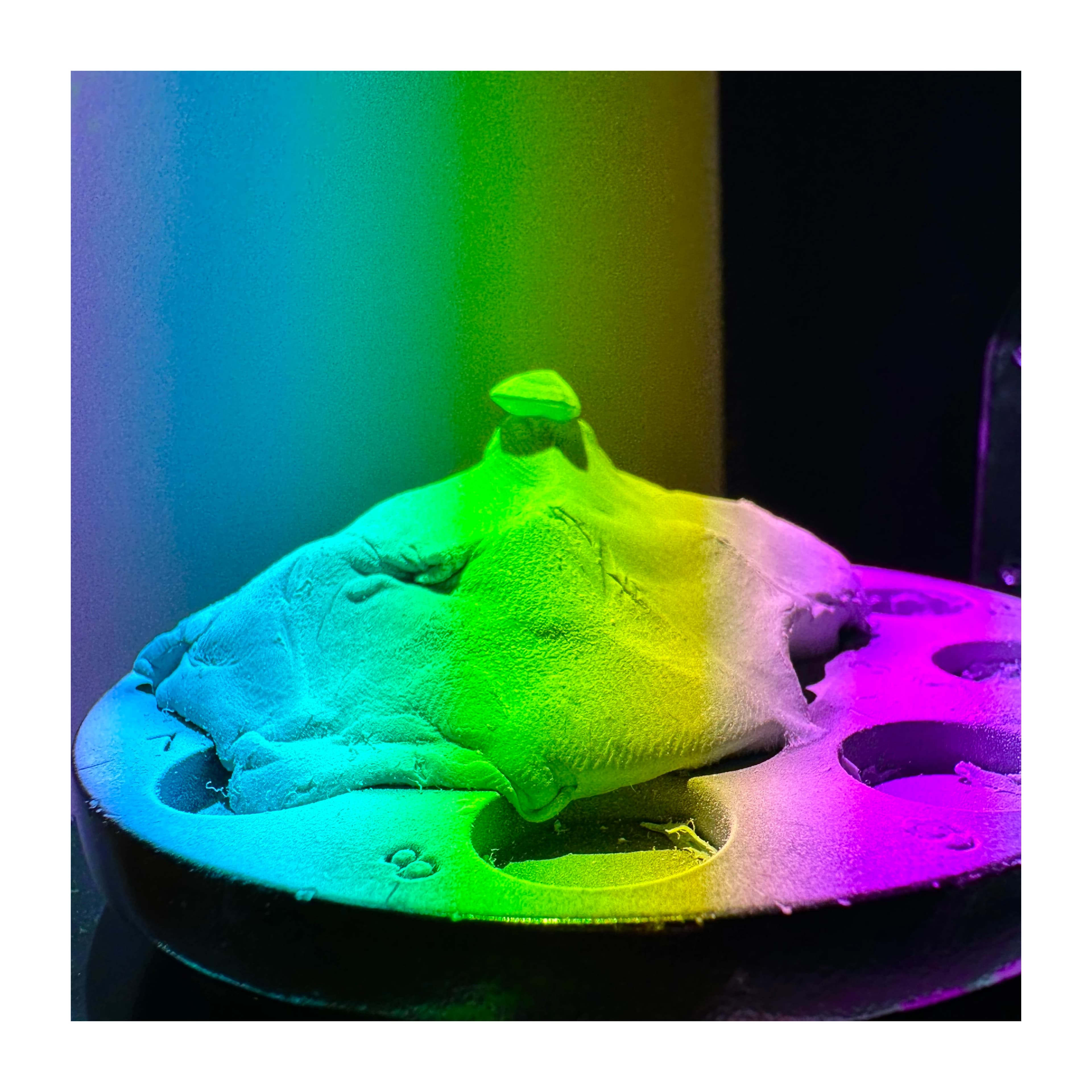 3D Scan of a stone in the scanning machine